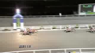 2018年10月28日高知競馬11R 平成３０年北海道胆振東部地震被災地支援 飛龍の滝特別(C1-1組) ダイチトゥルース