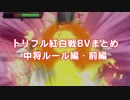 【ポケモンORAS】トリプル紅白戦BVまとめ動画・中将ルール前編【トリプル紅白戦】