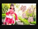 【紫嘉儿】響喜乱舞