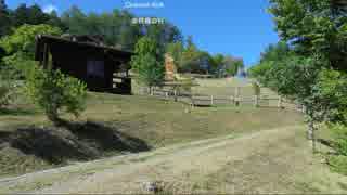 297美幌みどりの村森林公園キャンプ場総面積33haを有する森林レクリエーション施設で公園内にはジャンボ滑り台や林間広場、展望塔、あずまや、バンガロー、管理棟、水洗トイレ、コインシャワー、