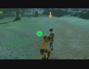 依頼を受けて、リーキさんを襲われてる橋とは違う橋に連れて行ってみた