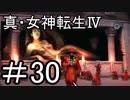 真・女神転生Ⅳ　またゲームに夢中になるために実況プレイ30