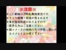 狐と獅子の反省遠征記録【第７回】