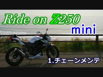 Ride on Z250 mini 【1.チェーンメンテナンス】【東北きりたん】