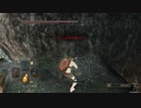 DarkSoulsII 武器耐久減らし