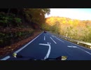 【モトブログ】日光紅葉ツーリング前編！いろは坂～中禅寺湖【CBR250RR】