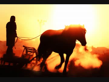 ゆっくりが解説する地方競馬列伝　第２７話