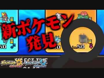 誰も知らない新種のポケモンと遭遇。【ポケモンUSUM】