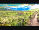 [Black MIDI] 上海紅茶館 ShortArrange