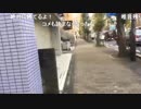 20181030　暗黒放送 地獄のドラゴンボールウォーキングラリー放送７　⑪
