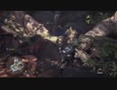 【Monster Hunter World】狩人と猫の世界を斜め上に楽しむ！Part51【実況】