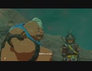 【実況】愛に生きるゼルダの伝説ブレスオブザワイルド マスターモード part51