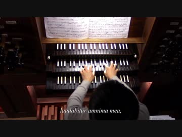 【500年前のパイプオルガン】ベネディカム･ドミノ(H.シャイデマン)【バロック･古楽】H.Scheidemann : Benedicam Domino (Kazuki Tomita)