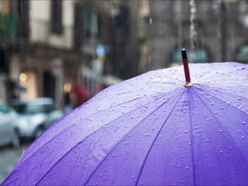 【癒し】雨粒が傘に当たる音（睡眠用BGM・作業用BGM）