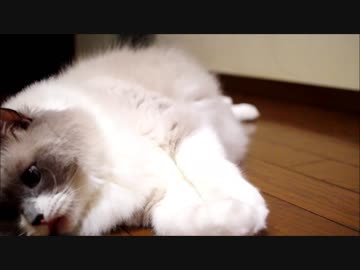 きっと何かの練習をしている