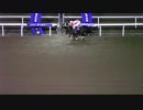 《運営大誤審！　1着と2着を逆に判定》2018/11/01 第45回 北海道2歳優駿（JpnⅢ）【イグナシオドーロ（ウィンターフェル）】