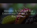 OCP Bed Bug Exterminator in Chicago IL