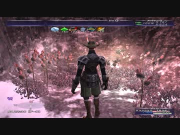 カッパのFF11生活801　 Jester連戦／獣使い取得　【実況】