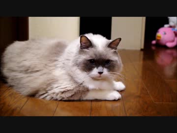 ときどき走り出す