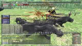 【FF11】忍者+フェイスオーメン詰み殲滅動画