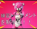 【PC版Fortnite】#34しょうもないショーモナイト実況プレイ【フォートナイト】