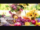 【無料フリーBGM】軽快で楽しいケルト曲「Harvest5」