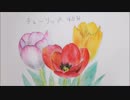 【水彩色鉛筆】チューリップ・ω・-tulip-【watercolor】
