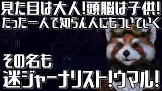 見た目は大人！頭脳は子供！その名も迷ジャーナリスト！ウマル！！要は精神年齢低いおっさんやったって話