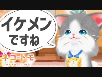 ネコからのイケメン認定で満足する男！#02【ネコトモ実況】