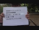 言わなかったっけ　はまたく５４