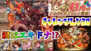 【パズドラ】11月のチャレンジLv10 ヴァルキリーCIEL~エキドナを添えて~【解説実況】