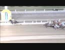 2018年11月1日大井競馬10R 住めば、北区東京。盃(B2-五組) タマノシュタルク