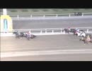 2018年11月1日大井競馬11R 神楽月賞(A2・B1-一) ダイリュウハヤテ