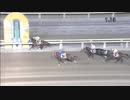 2018年11月2日大井競馬11R スポーツニッポン賞(B1-三・B2-二) ナイキアドヴァンス