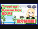 【気分は南国♪】 Tropical Geometry の気持ちを紹介するよ！【Tropical x Mirror = ???】 #VRアカデミア #012