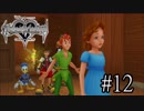 【KINGDOM HERATS Re:Chain of Memories】実況プレイ#12
