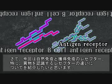 【ゆっくり解説】獲得免疫系のレセプター
