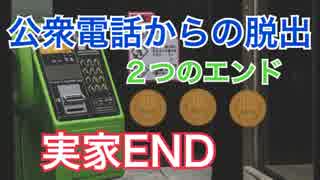 【公衆電話】元気な母と生きている父　＃８