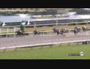 2018年　第8回 JBCレディスクラシック（JpnⅠ）【アンジュデジール】