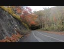 ひろしま県民の森行く途中のまばら紅葉(2018-10-28)。