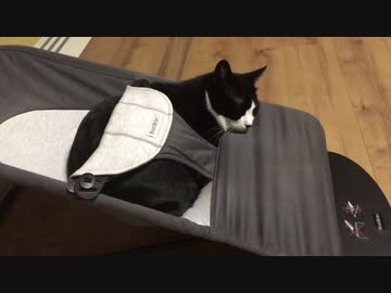 お前の寝床ねぇから！その2