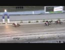 2018年11月3日高知競馬5R ＪＢＣレディスクラシックは明日(B-2組) コスモクウェンチ