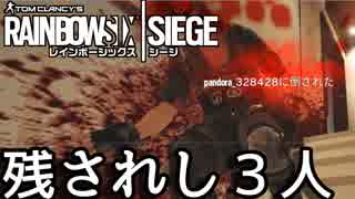 【実況】いまさらレインボーシックスシージを買った男。【163】