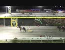 2018年11月4日帯広競馬9R 第39回北見産駒特別(2歳産地限定) インビクタ