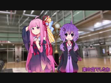 蒟蒻姉妹の琴葉問答 赤しそ味