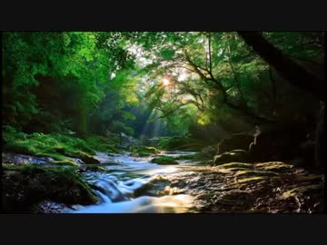 【癒し】カッコウの鳴き声と渓流のせせらぎ《60分》（睡眠用BGM・作業用BGM）