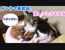 オレサマ暴君誠、たまには優しさを見せる。でもちゃっかり上にのる。