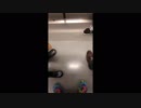 209系500番台C510編成錦糸町〜新宿走行音