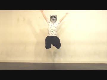 【ありゃぐま】クノイチでも恋がしたい【踊ってみた】