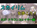 【Skyrim SE】スカイリムを歩こう!#27【VOICEROID実況】